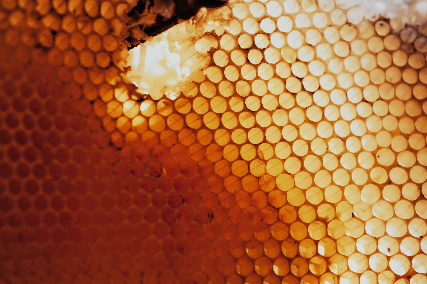 85% RAW HONEY