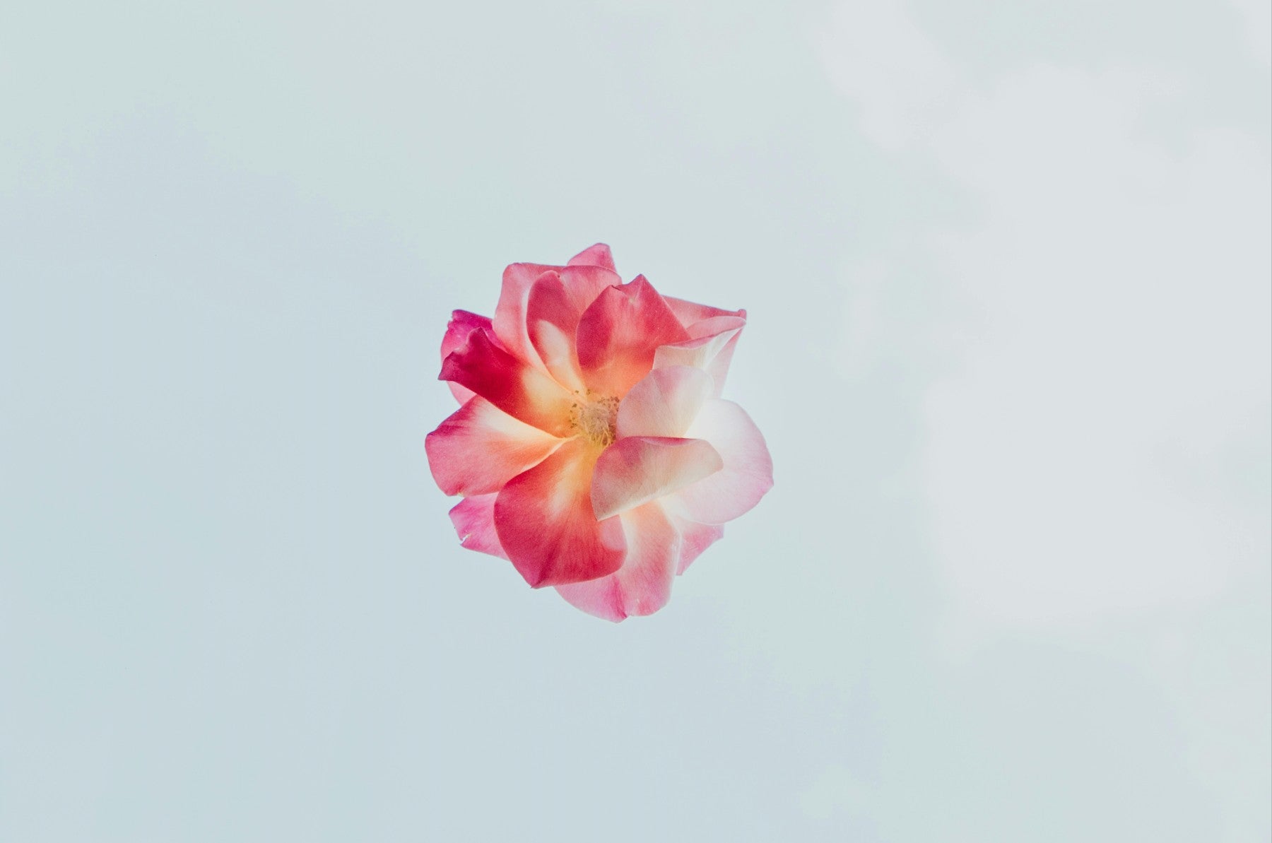 NATURALLY BALANCES pH