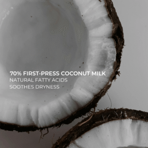 Two whole coconuts placed on a neutral background